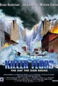 la-locandina-di-la-diga-della-paura-87176_jpg_191x283_crop_q85